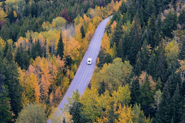 rv traveling near trees during daytime